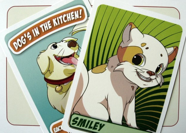 Kittens in a Blender