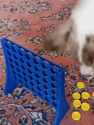 Connect 4 - Doggy Style