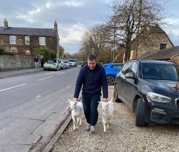 Goats in Stanford-in-the-Vale