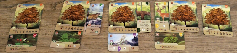 Forest Shuffle: Alpine Expansion