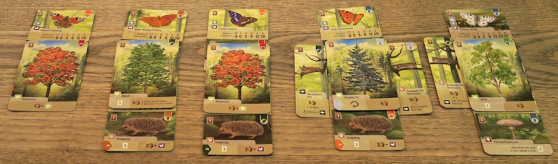 Forest Shuffle: Alpine Expansion