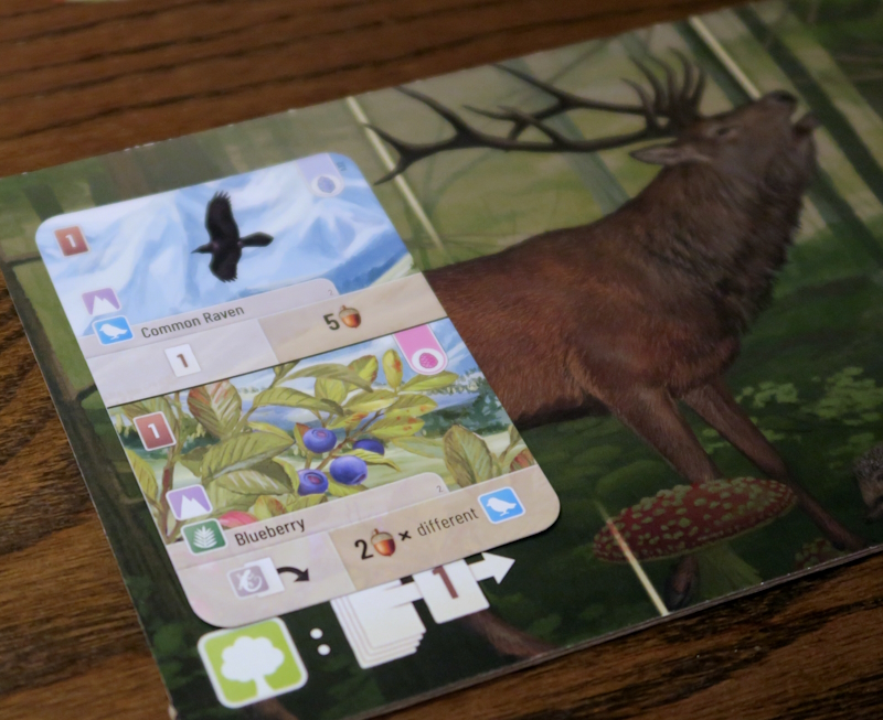 Forest Shuffle: Alpine Expansion