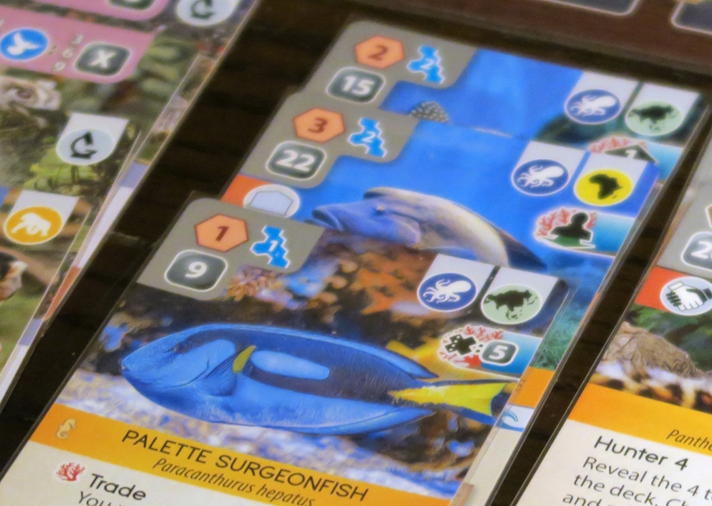 Ark Nova: Marine Worlds