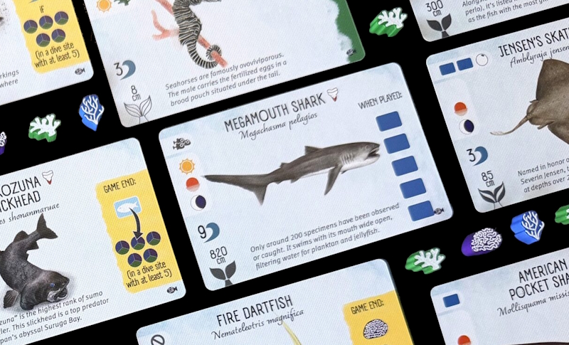 Finspan: Sharks & Reefs